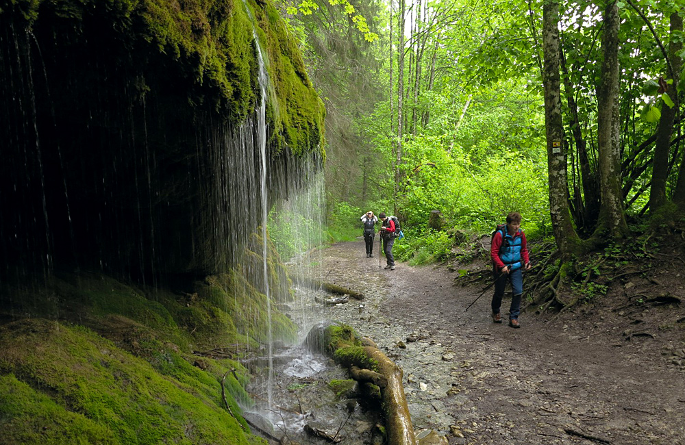Black Forest Self guided Inn To Inn Hiking Tour In Germany Independent 